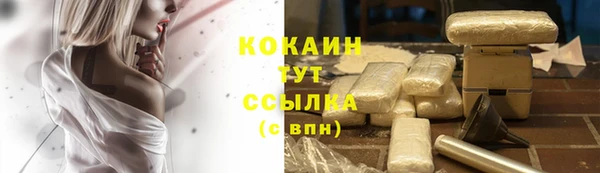ГАЛЛЮЦИНОГЕННЫЕ ГРИБЫ Елабуга