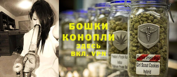 ГАЛЛЮЦИНОГЕННЫЕ ГРИБЫ Елабуга