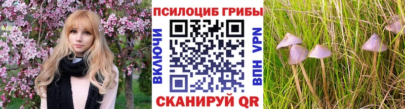 Псилоцибиновые грибы ЛСД  Купить  Жуковка 